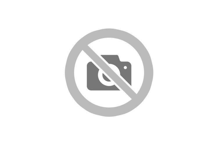 Каракал и каракет