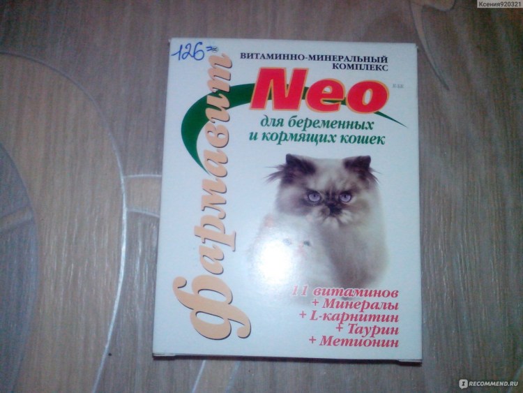 Стандарт породы кошек скоттиш фолд