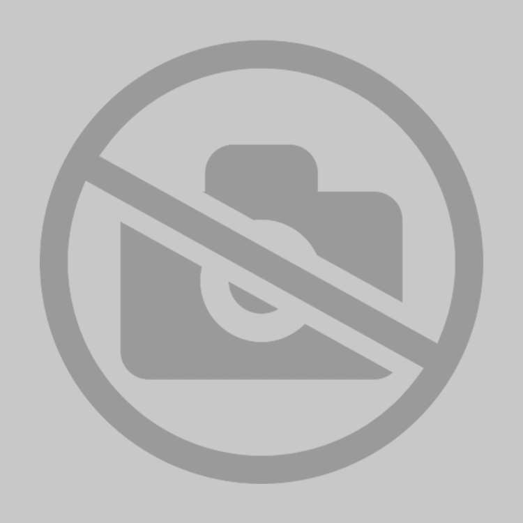 Шотландская вислоухая мультиколор