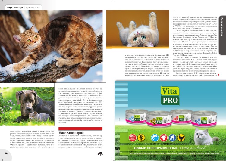 Витамины для котят Омега Нео