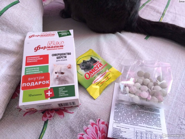 Корма для котенка 3 месяца