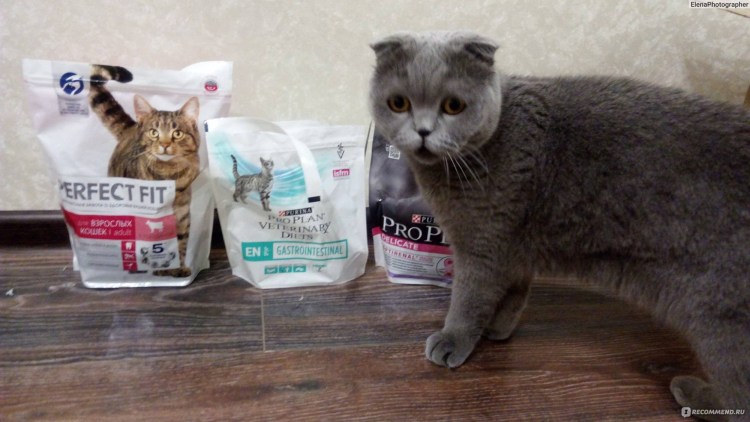 Витамины для кошек Радостин 90 таб