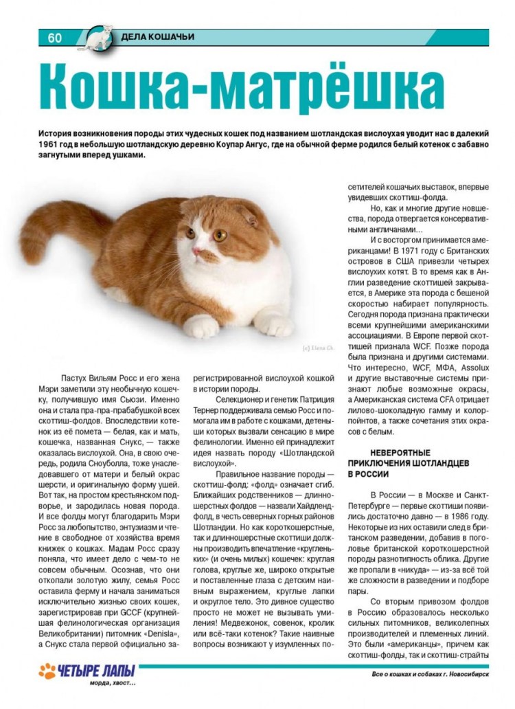 Витамины для кошек мама плюс Китти Юнитабс