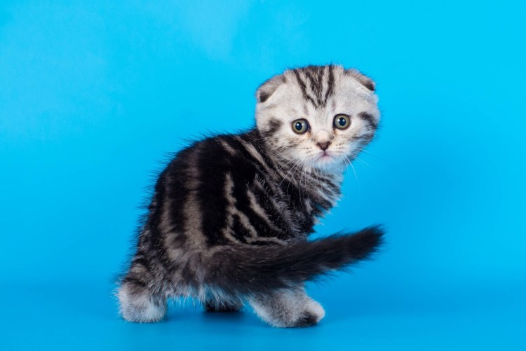 Документ 9-г