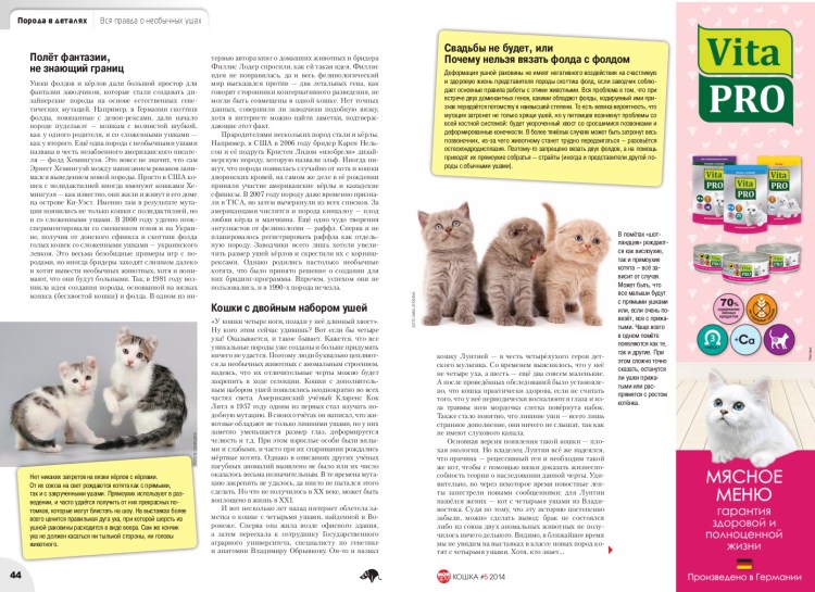 Витамины для беременной кошки