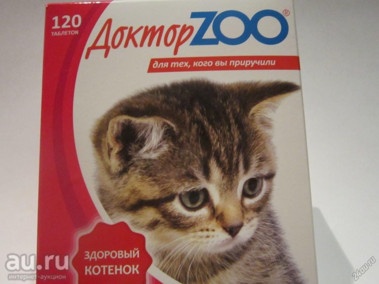 Корм для шотландских вислоухих котов