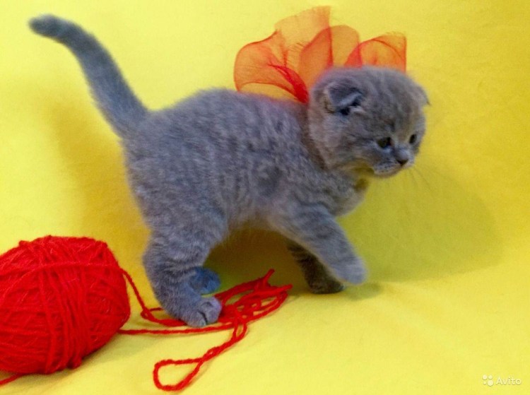 Клапан электропневматический 638м.101.а63s04.PS