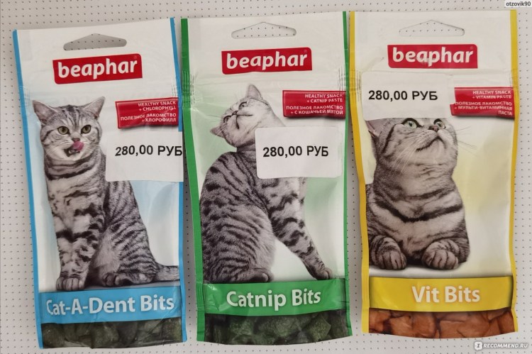 Витамин д для котят