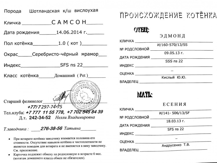 Юнитабс паста для кошек