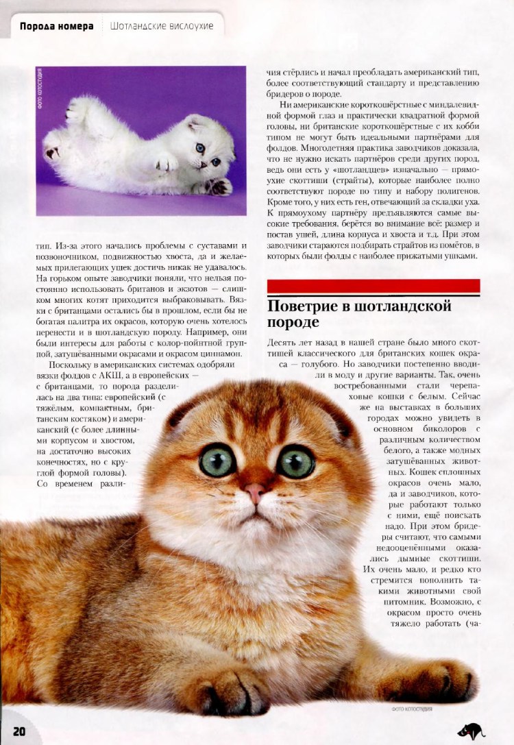 Лакомство для собак Деревенские лакомства Вита для кожи и шерсти