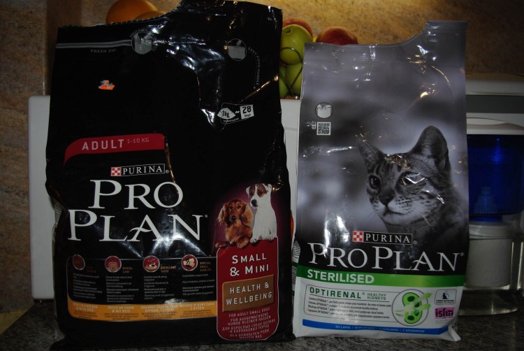 Отдаю вислоухих котят