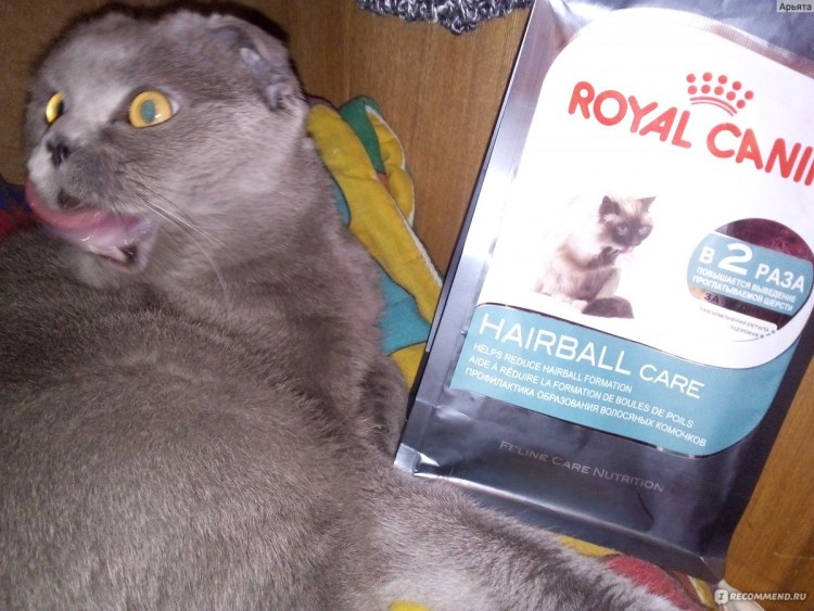 Натуральный кошачий корм