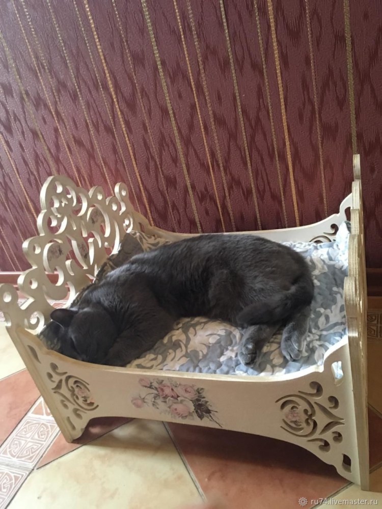 Кот в кроватке