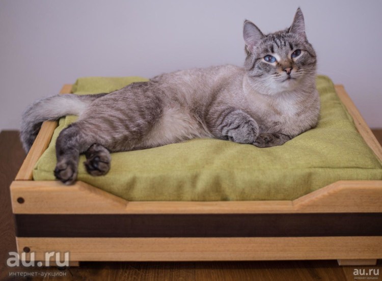 Деревянные лежаки для кошек