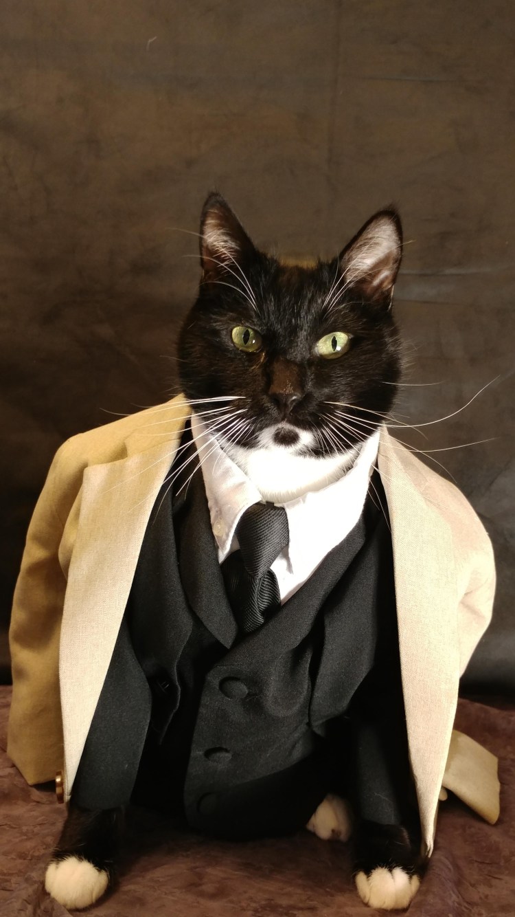 Кот в костюме