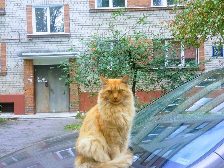 Район КОТОФОТО