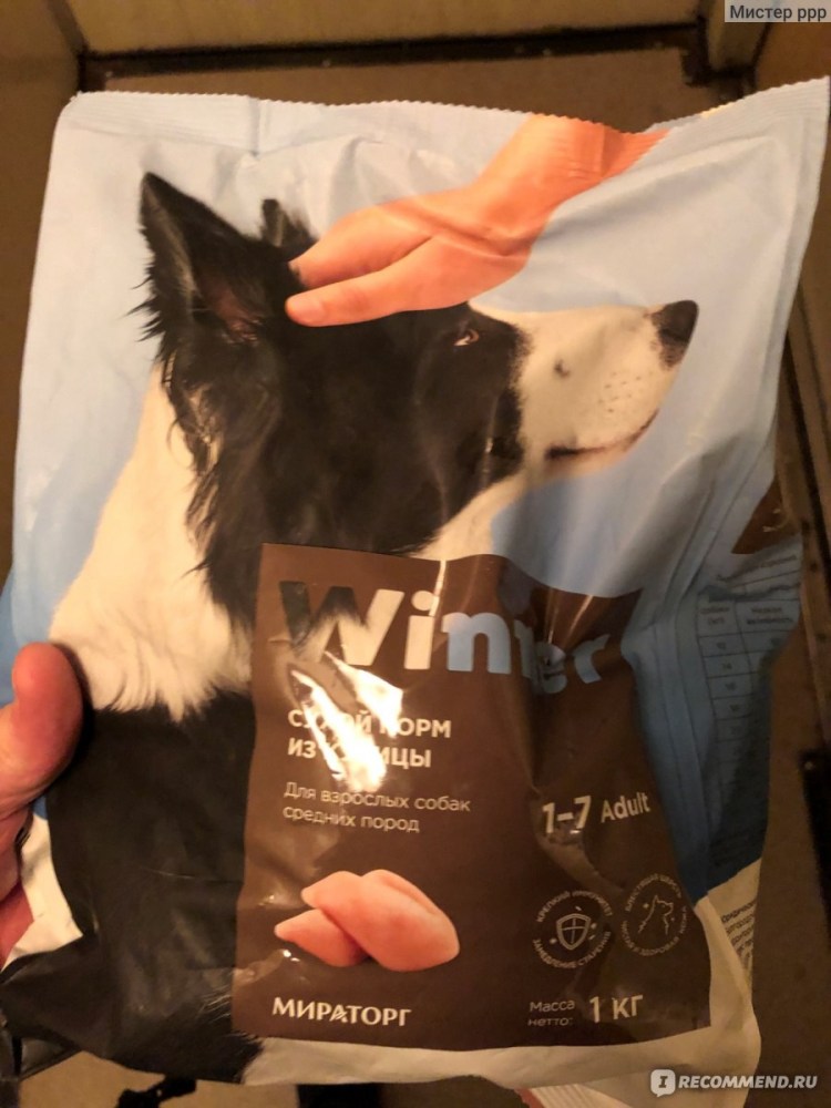 85 Г корма собаке это сколько