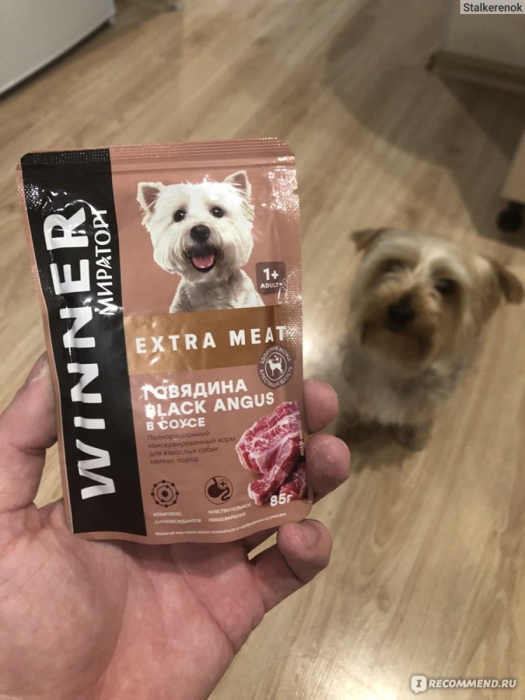 Сухой кошачий корм Мираторг