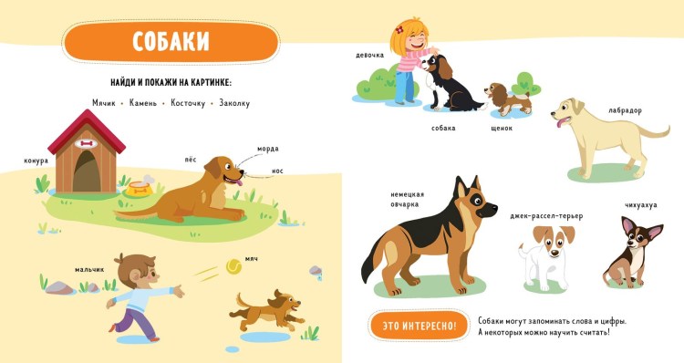 Щенок задания для детей
