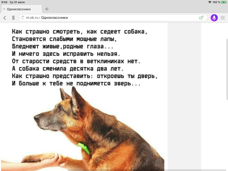 Стихи посвященные собаке