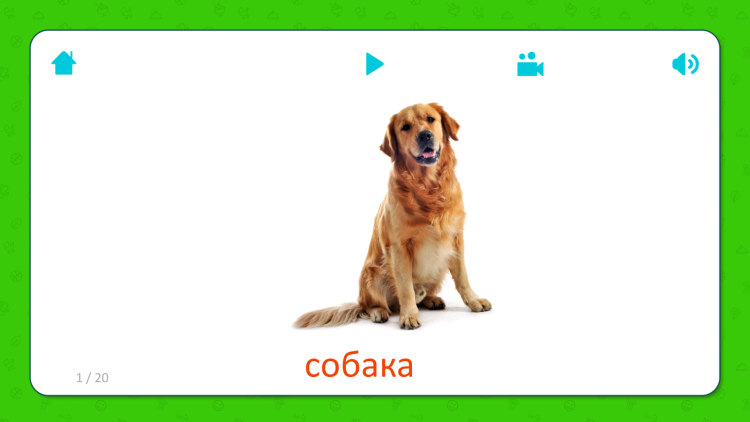 Карточки для детей щенок