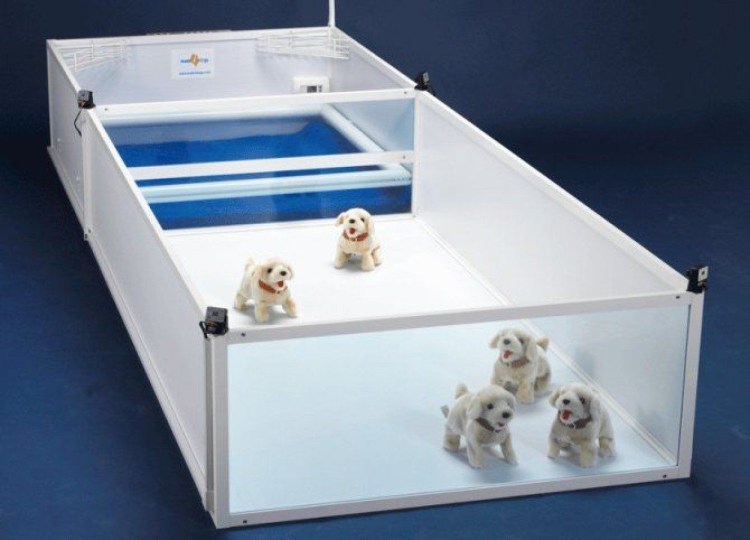 Переносной ящик для ягдтерьера