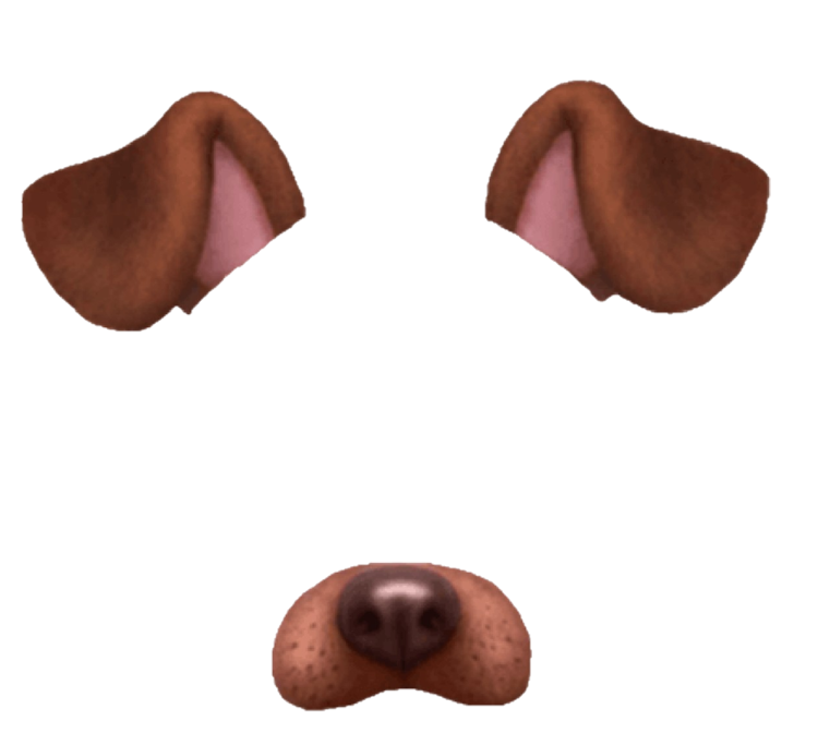 Уши собаки на ободке