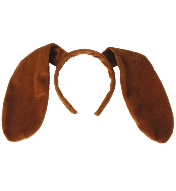 Гигиенические процедуры для собак