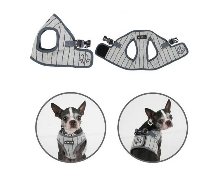 Комбинезон дождевик для собаки выкройка