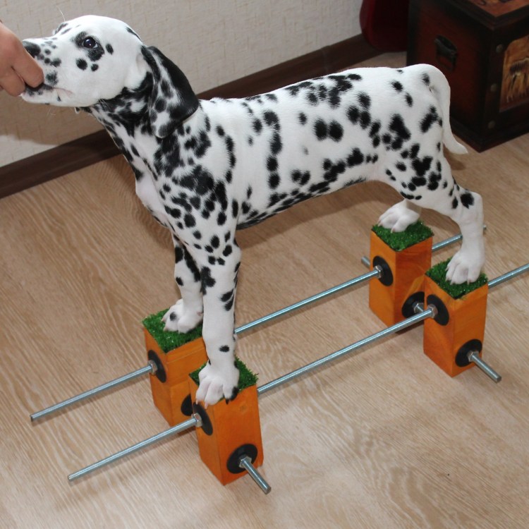 Развивалки для собак своими руками