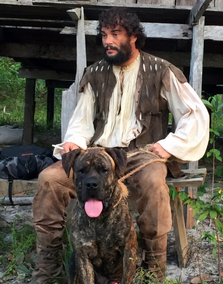 Испанский алано с человеком