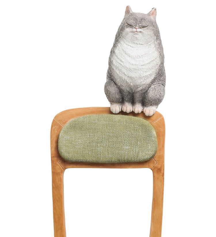 Кот сидит на стуле