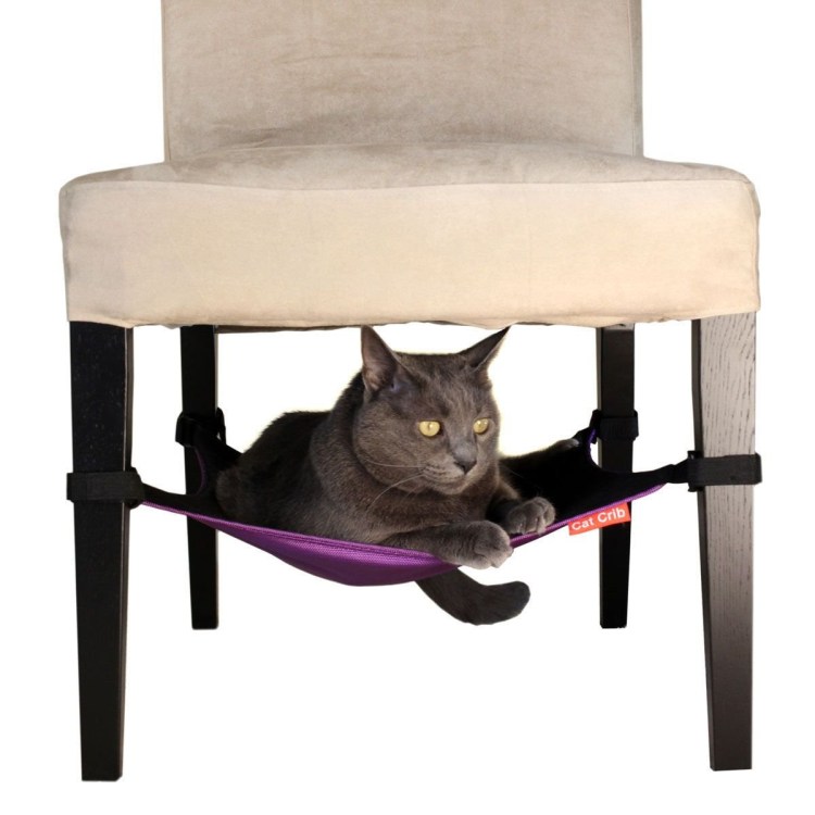 Кошка сидит под стулом