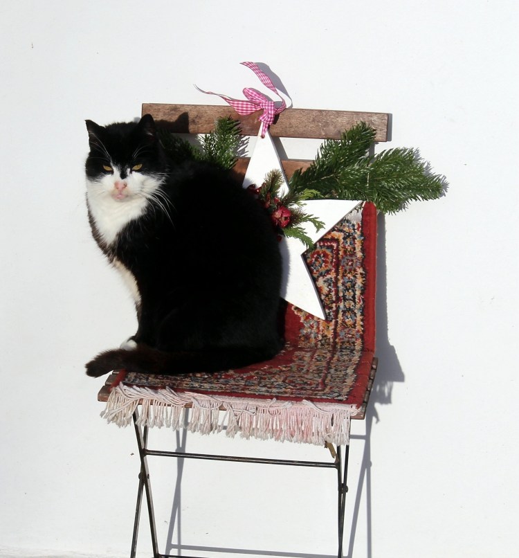 Кот на стуле картина