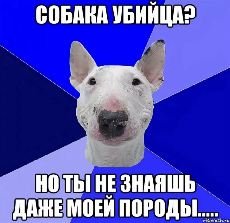 Смешные картинки поржать