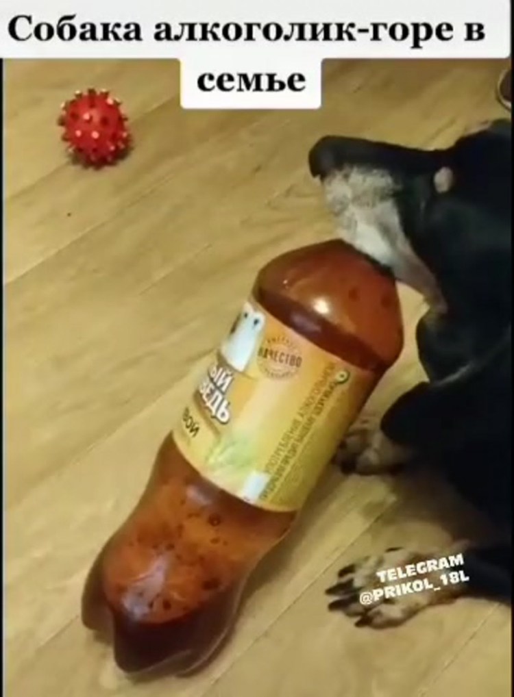 Алкоголик горе в семье