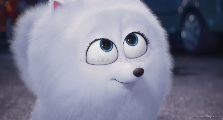 Гиджет из Тайная жизнь