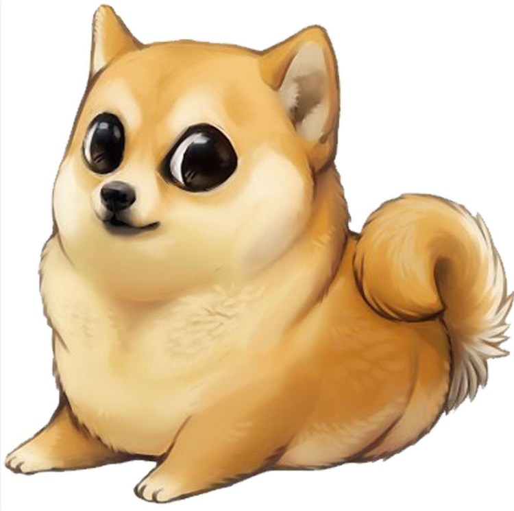 Шиба ину Чиби