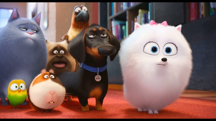 Тайная жизнь домашних животных мультфильм 2016