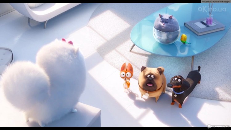 Самоед скетч