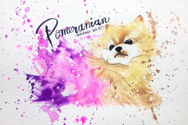 Померанский шпиц