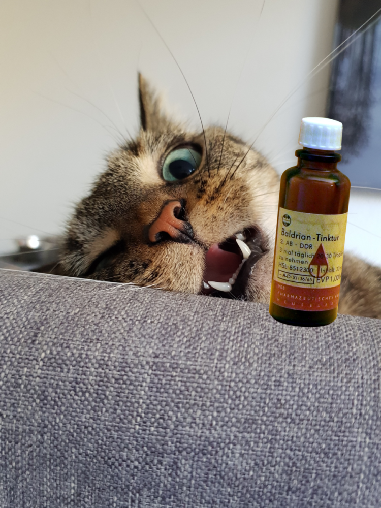 Валерьянка для кошек