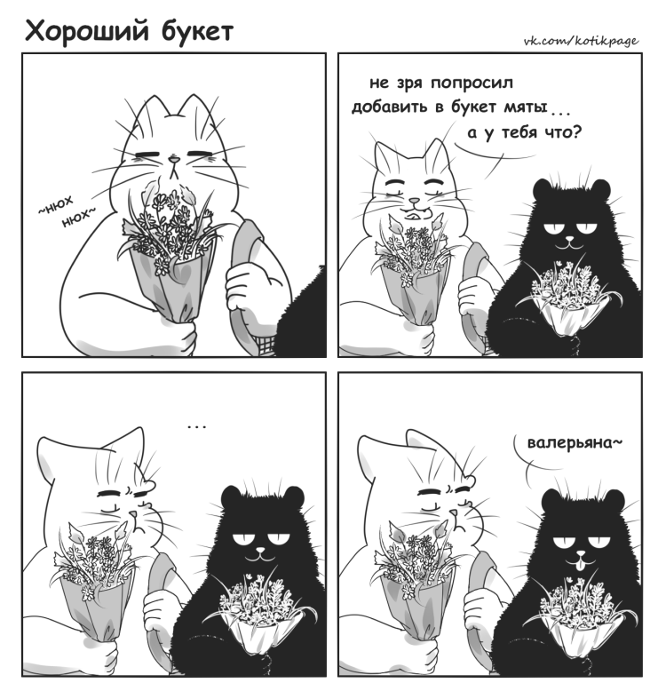Пьяный котик