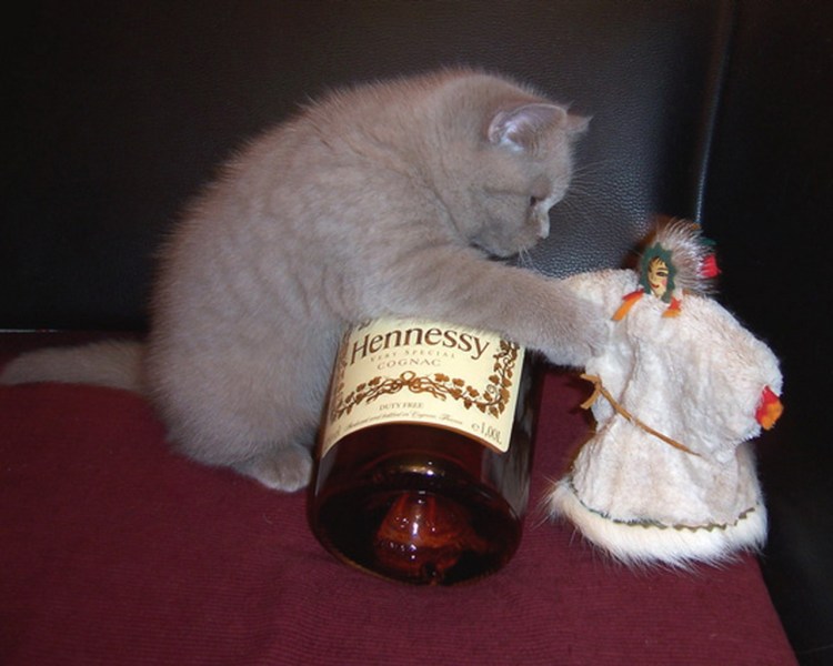 Посоветовали посадить валериану