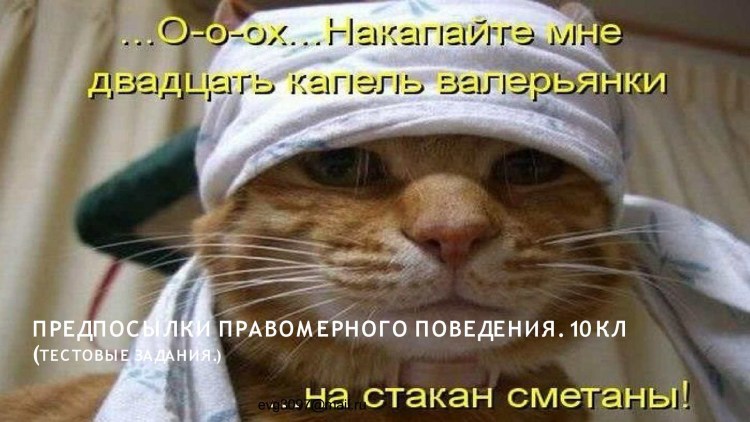 Гадалка прикол