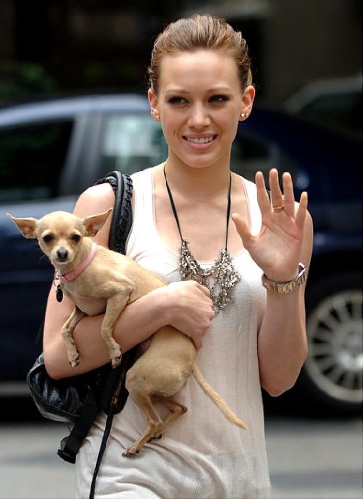 Девушка с собачкой на руках