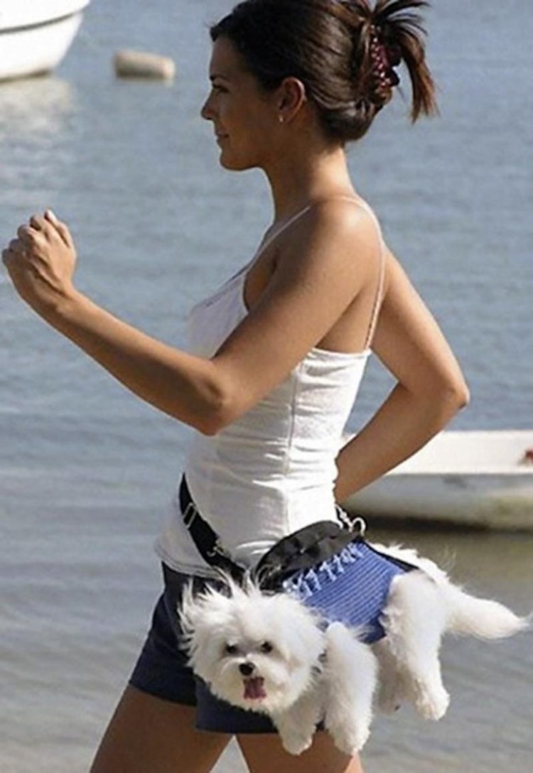 Девушка с собачкой