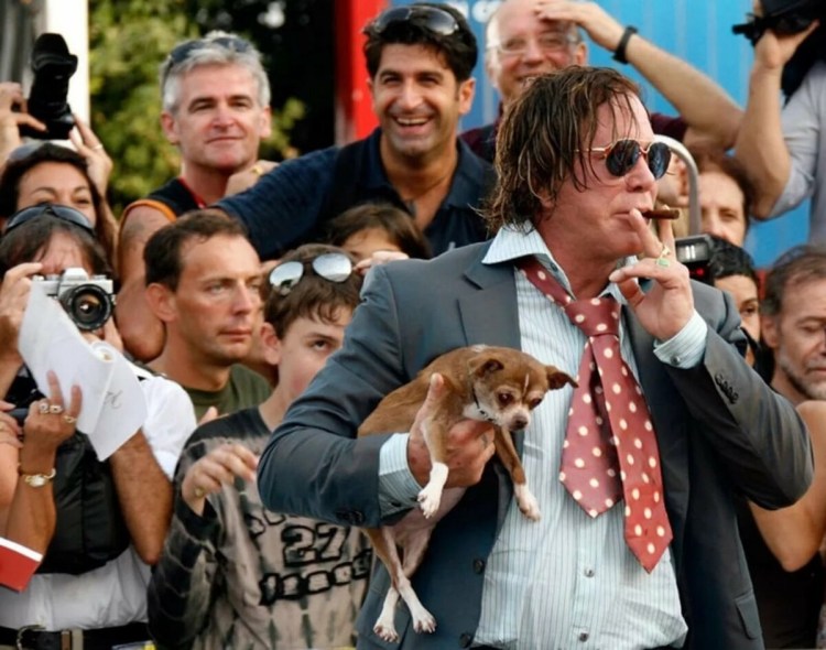 Микки Рурк чихуахуа