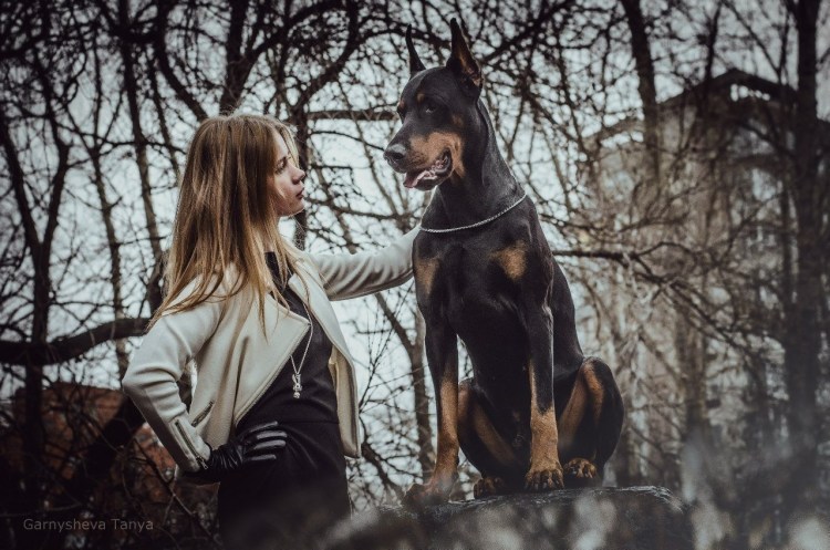 Ирина Шейк с доберманом