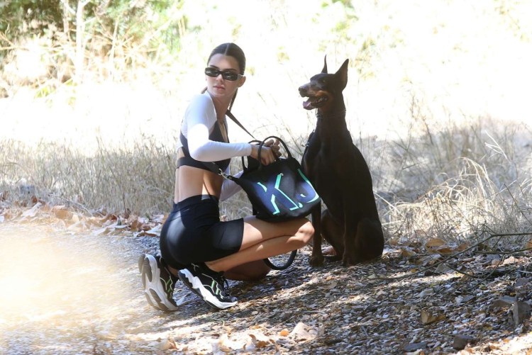 Кендалл Дженнер с доберманом